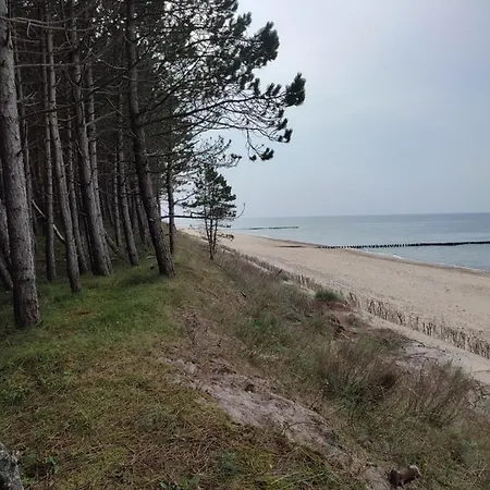 Zielonka Relaks Rusinowo (Slawno)