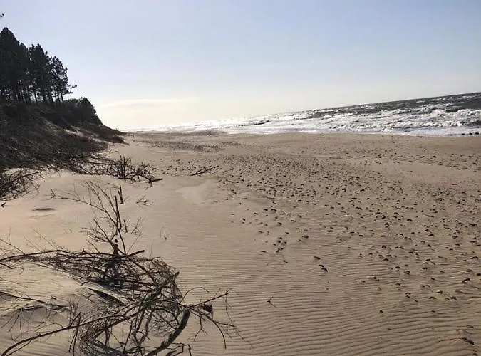 Zielonka Relaks * 루시노보